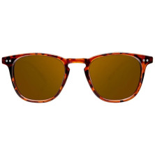 Northweek Wall Tortoise Polarized 1Ud