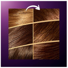 Wella Color Perfect 7 Kit 100% Cobertura De Canas 4/0 Castaño Medio