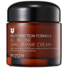 Mizon All In One Snail Repair Cream 75Ml