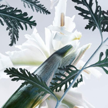 Bvlgari Man Glacial Essence Eau De Parfum Vaporizador 60 Ml