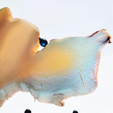 Bvlgari Man Glacial Essence Eau De Parfum Vaporizador 60 Ml