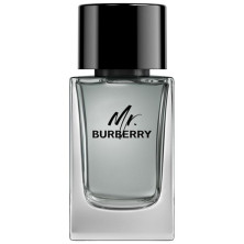 Mr Burberry Eau De Toilette Vaporizador 100 Ml
