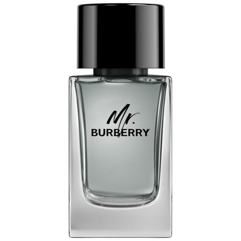 Mr Burberry Eau De Toilette Vaporizador 100 Ml