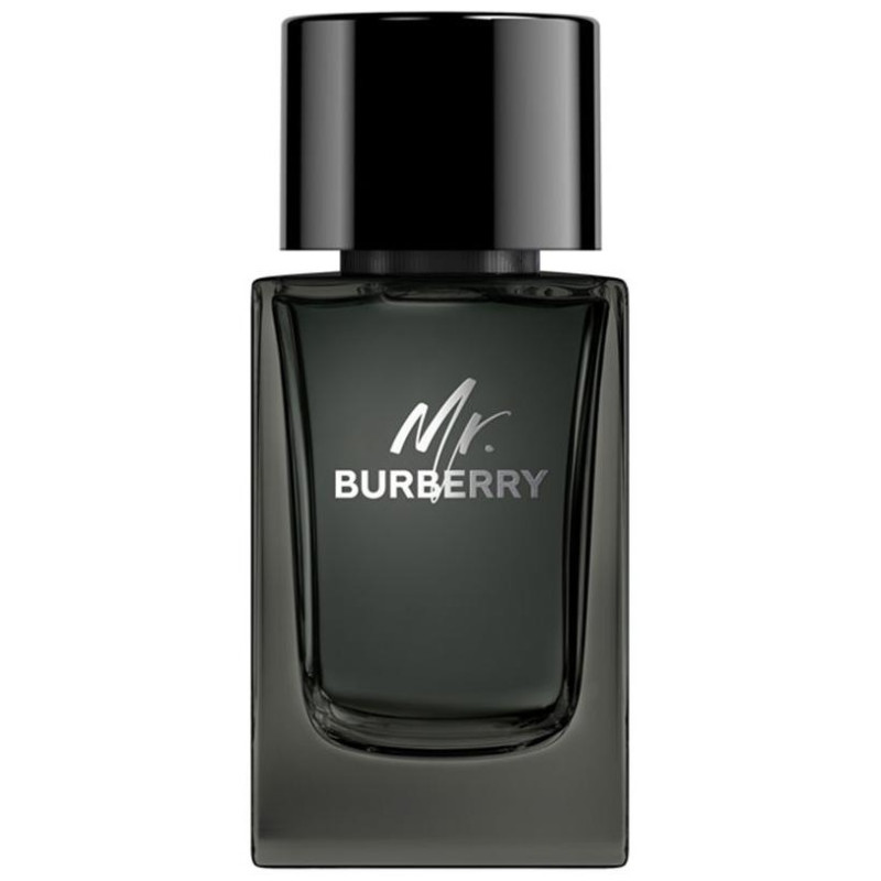 Mr. Burberry Eau De Parfum Vaporizador 100 Ml