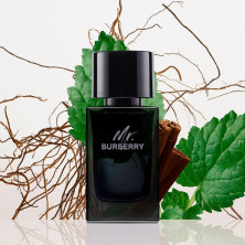Mr. Burberry Eau De Parfum Vaporizador 100 Ml