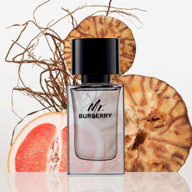 Mr Burberry Edt Vapo 50 Ml