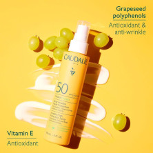 Vinosun Spray Solaire Lacté Spf50 150 Ml
