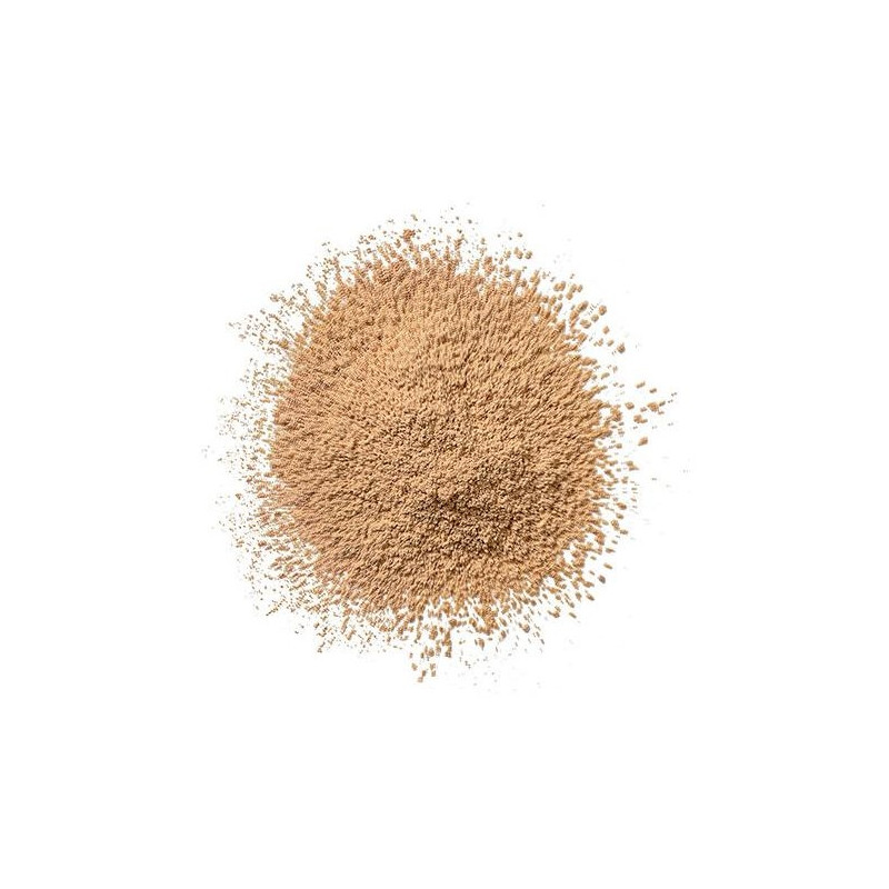 Clinique Blended Face Powder Loose Y Brush 04 Transparency 35G