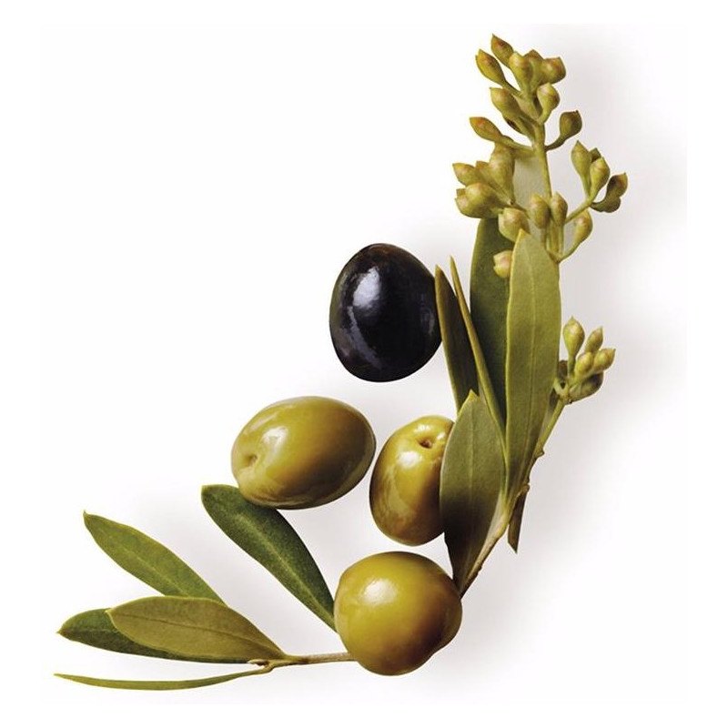 Garnier Original Remedies Mascarilla Oliva Mitica 300Ml