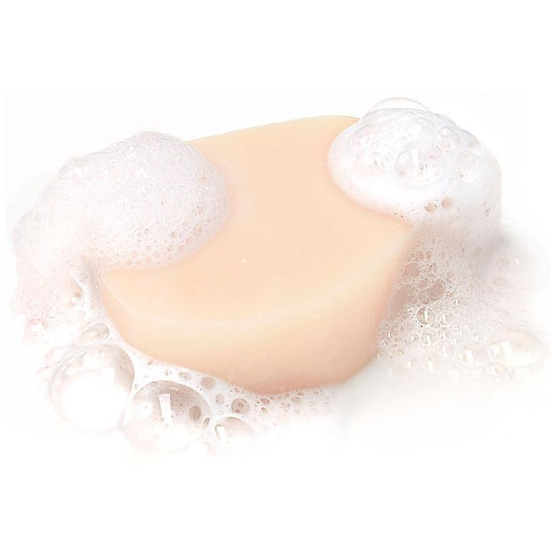 Garnier Original Remedies Champú Sólido Hidratante De Coco 60G