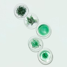 Helena Rubinstein Powercell Crema De Noche Skinmunity 50Ml