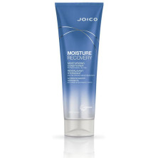 Moisture Recovery Conditioner 250 Ml