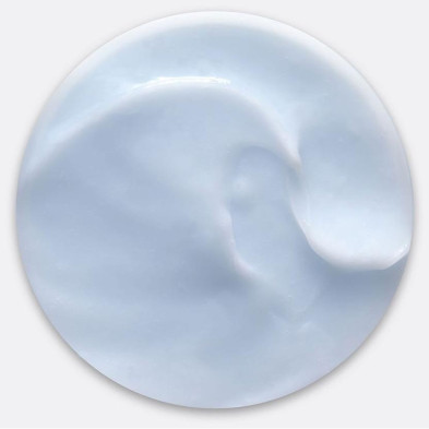 Moisture Recovery Conditioner 250 Ml