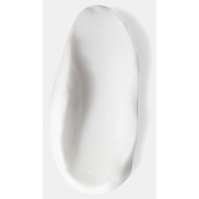 Premiere Acondicionador Reparador Para Cabello Dañado 200 Ml