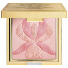 L'Orchidée Blush Enlumineur Rose 15 Gr