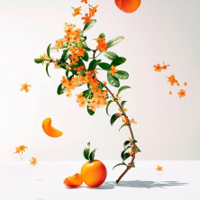 Fleur D'Osmanthus Agua Perfumada Bienestar 100 Ml