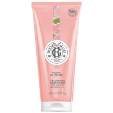 Fleur De Figuier Gel De Ducha Bienestar 200 Ml