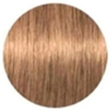 Schwarzkopf Igora Royal Tinte De Cabello Color 8-50 60Ml