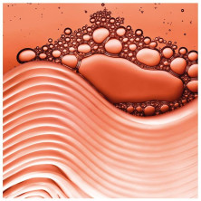 L'Oreal Dream Long Champú Reconstructor 370Ml