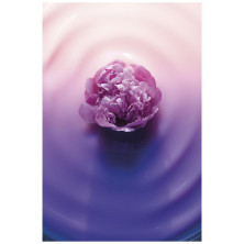 L'Oreal Age Perfect Golden Age Cuidado Frío Noche 50Ml