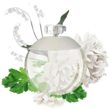 Cacharel Noa Eau De Toilette Vaporizador 30Ml