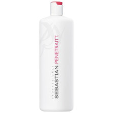 Sebastian Penetraitt Strengthening And Repair-Conditioner 1L