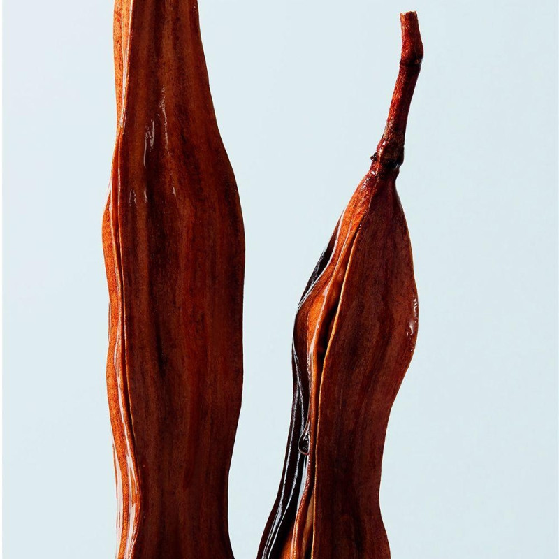 Shu Uemura Urban Moisture Hydro-Nourishing Conditioner Dry Hair 250Ml