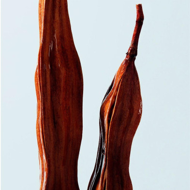 Shu Uemura Urban Moisture Hydro-Nourishing Conditioner Dry Hair 250Ml