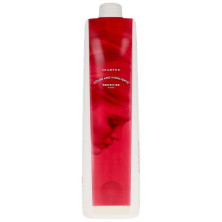 Trendyhair Shikiso Keratin Y Ginseng Champú 1000Ml