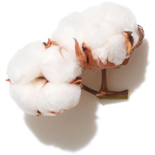 Invigo Volume Boost Shampoo 500 Ml