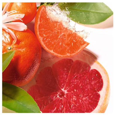 Jean Marie Farina Edc Vapo 100 Ml