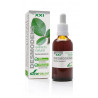 Desmodium Extracto Xxi Con Dosificador 50ml