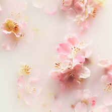 The Ritual Of Sakura Hair Y Body Mist 50 Ml