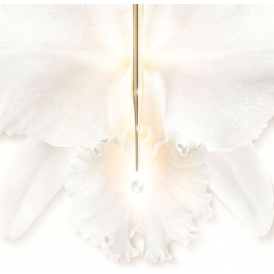 Orchidée Impériale Protector Global Uv Spf50 30 Ml