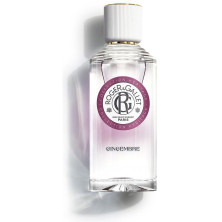 Gingembre Agua Perfumada Bienestar 100 Ml