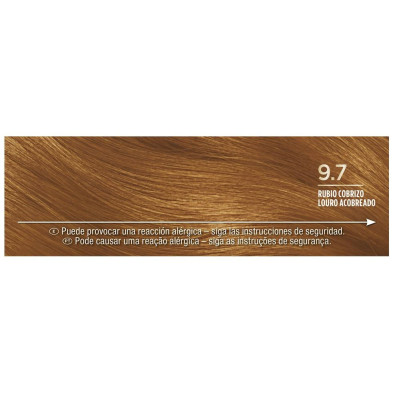 Palette Intensive Tinte 9.7-Rubio Cobrizo 1 U
