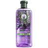 Lavanda Champú Anti-Frizz 350 Ml