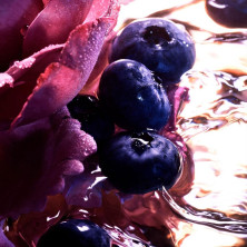 La Petite Robe Noire Intense Edp Vapo 20 Ml