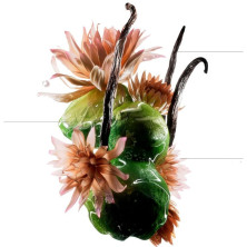 Absolut Repair Molecular Champú Profesional Sin Sulfatos Para Cabello Dañado Recarga 500 Ml