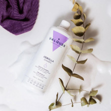 Valquer Cuidados Champú Anti-Oxidante Cebolla 500Ml