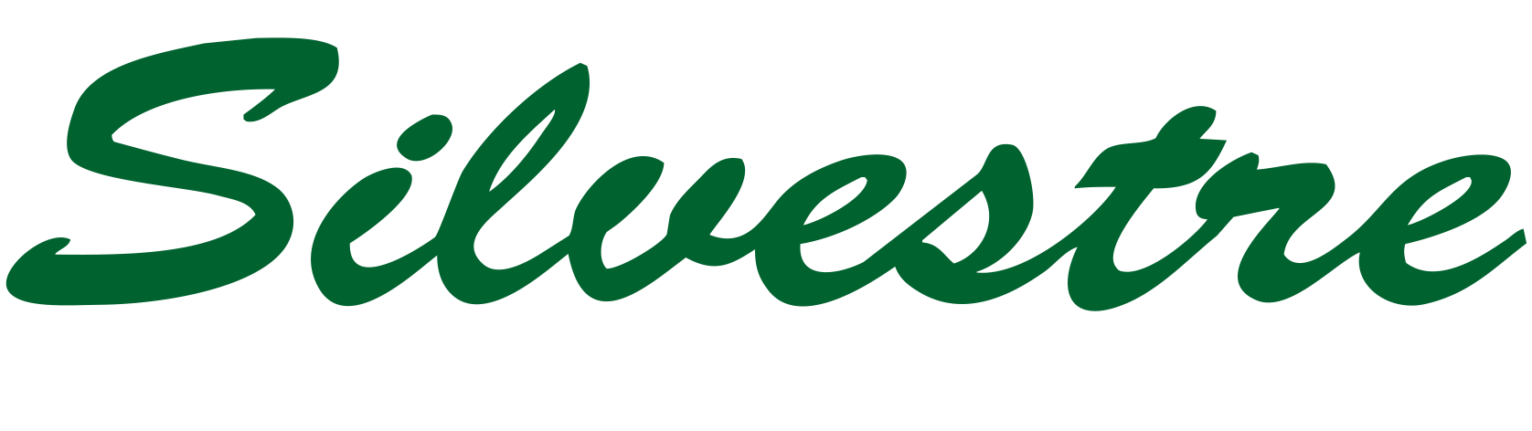 SILVESTRE CHAMPÚS SÓLIDOS